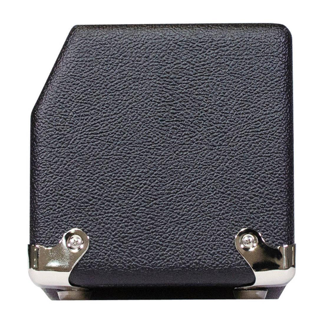Fender champ head hotsell